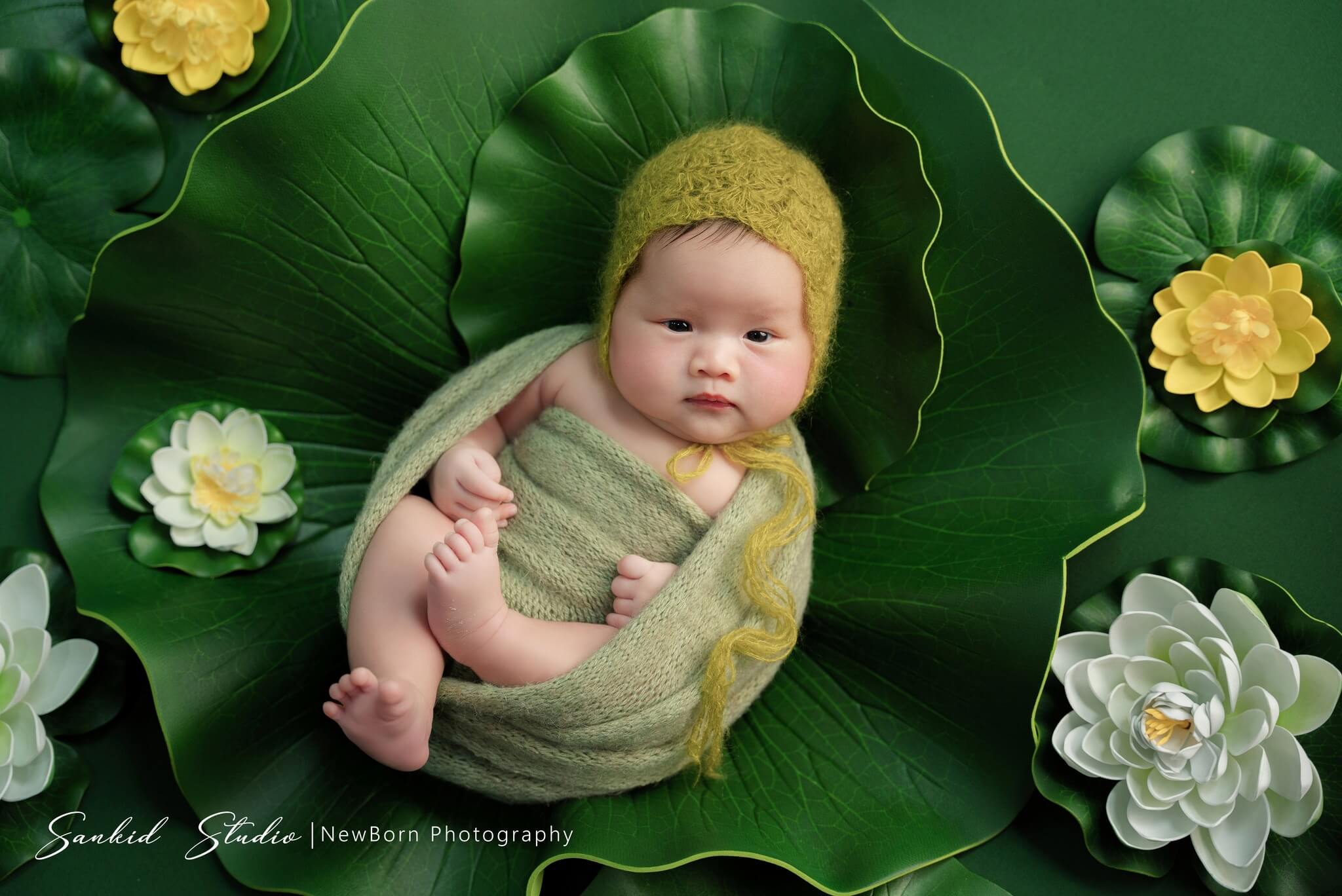 Concept chụp ảnh cho bé sơ sinh với hoa và lá sen