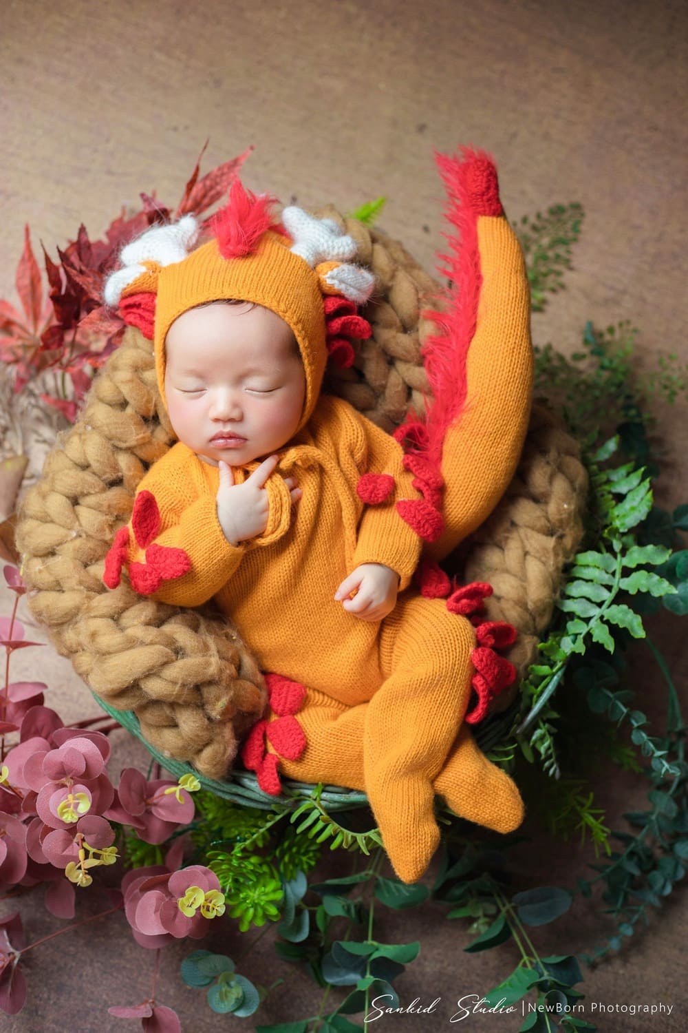 album-newborn-so-sinh-1