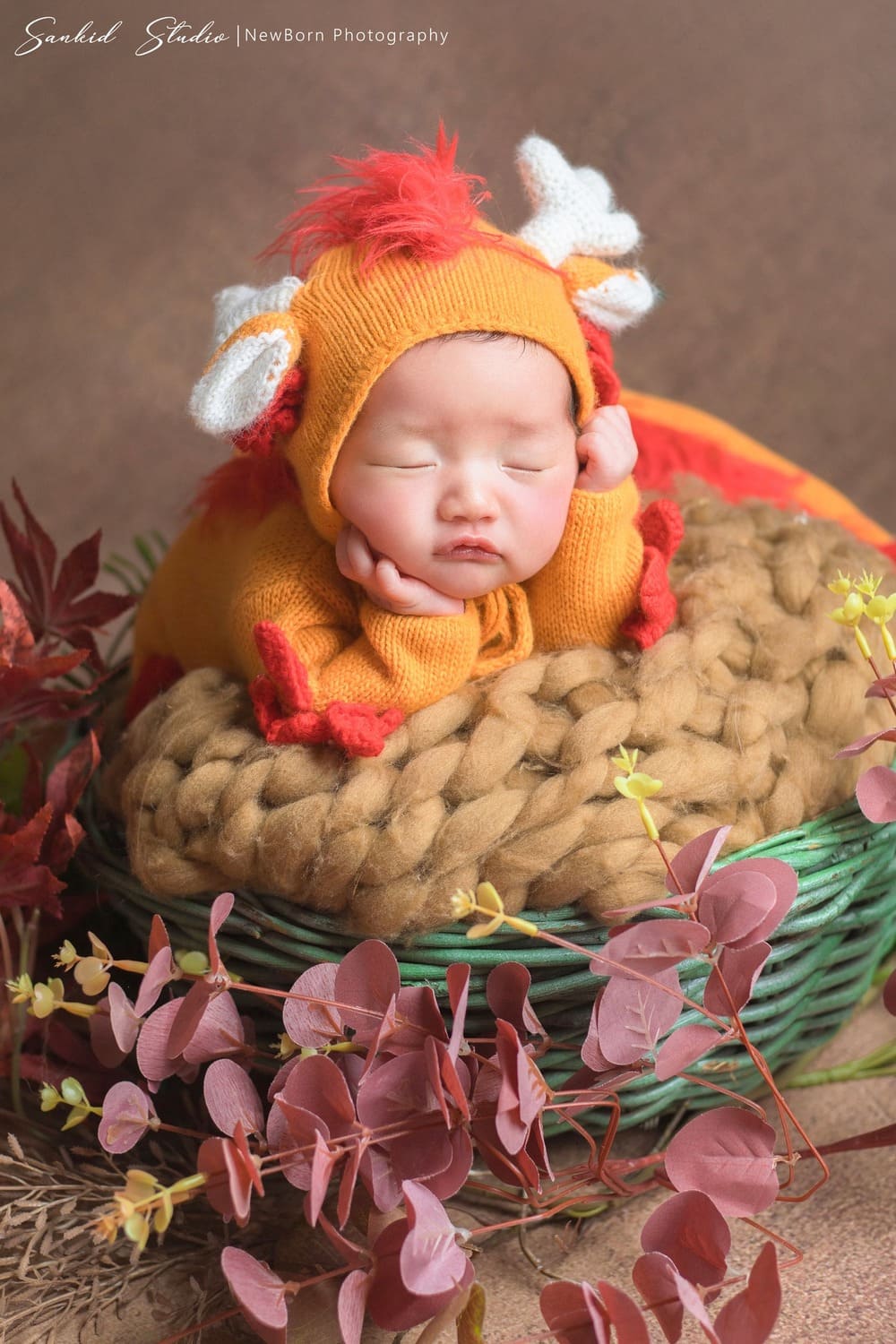 album-newborn-so-sinh-3