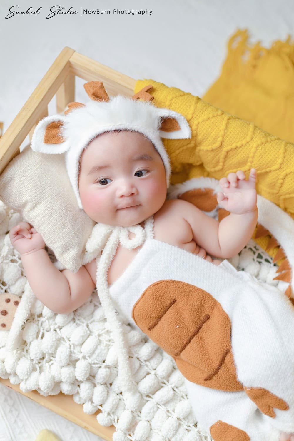 album-newborn-so-sinh-40