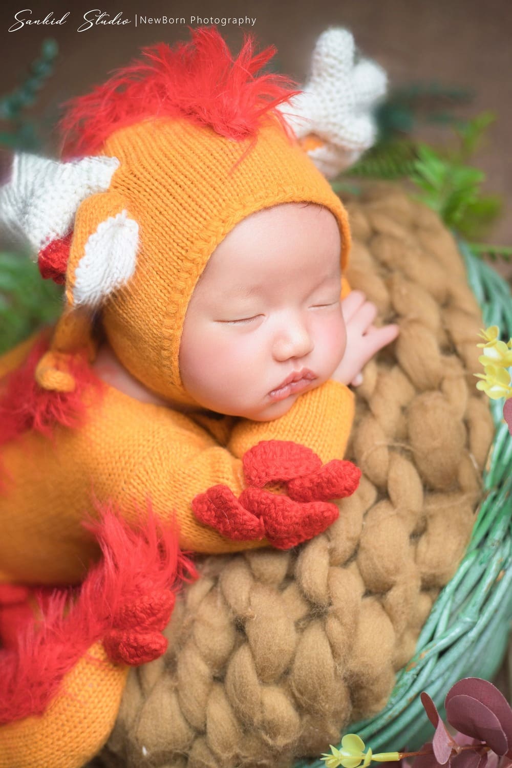 album-newborn-so-sinh-5