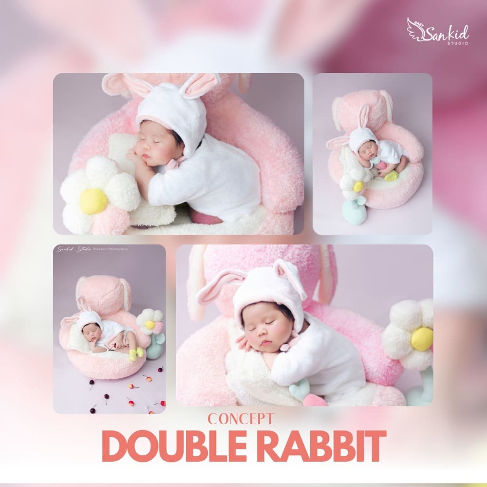 concept double rabbit