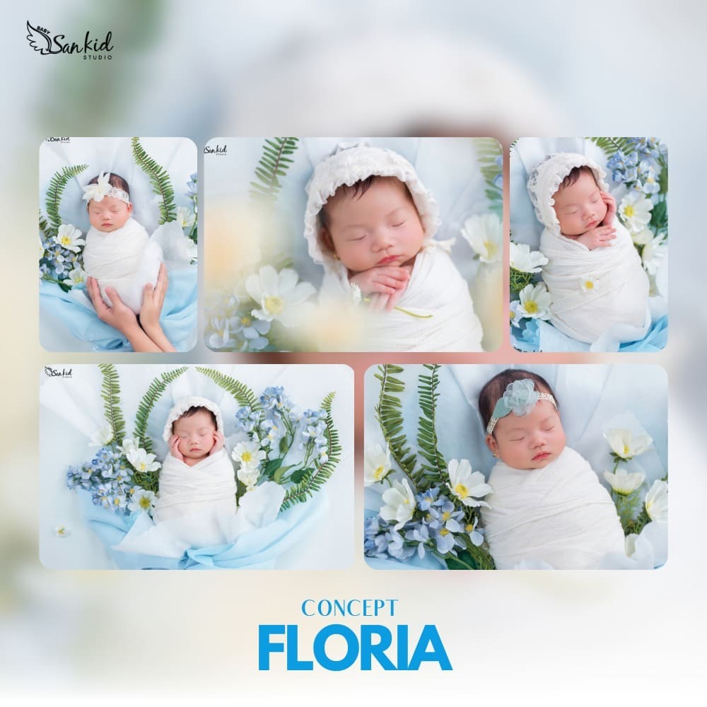 concept floria