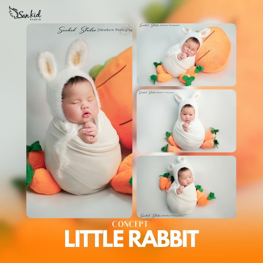 concept little rabbit 1