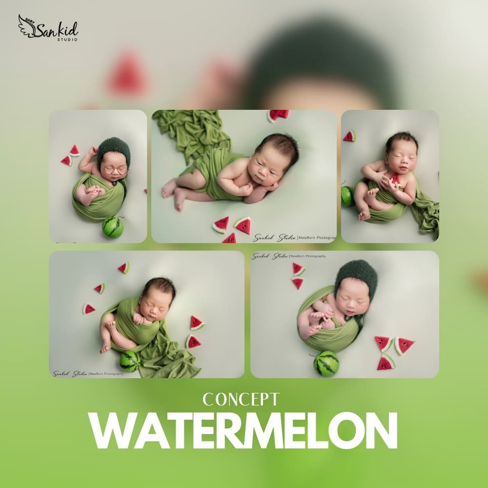 concept watermelon