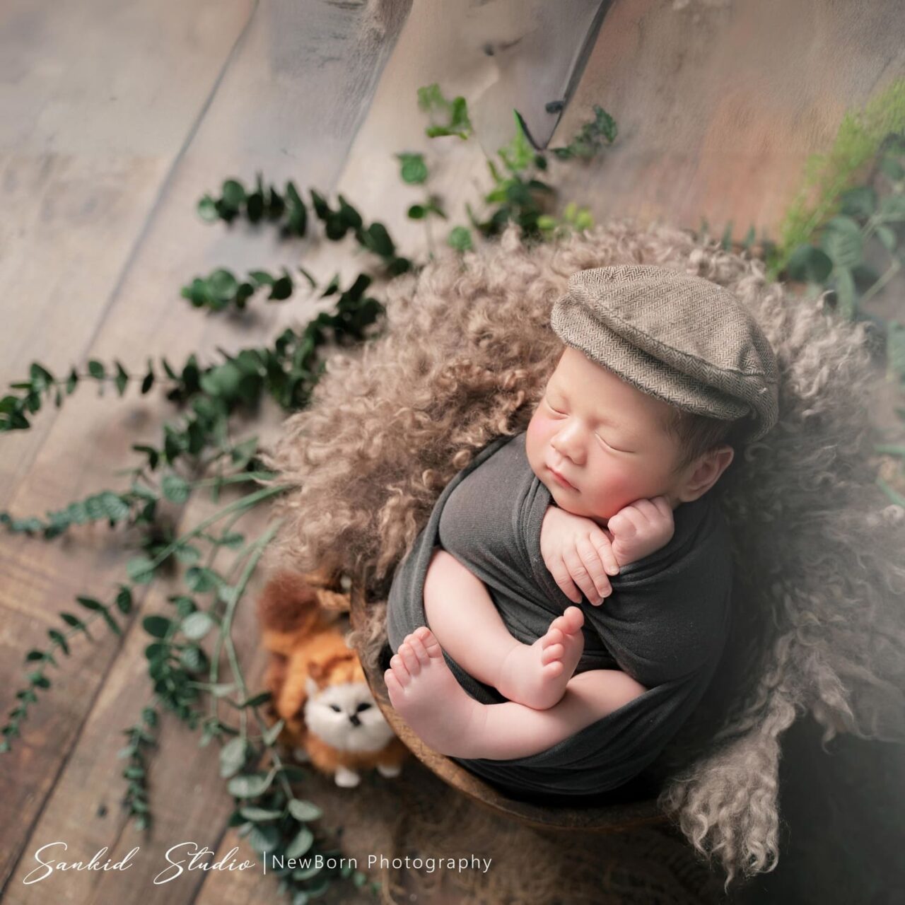 concept newborn baby brown