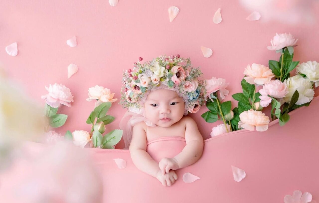 CONCEPT NEWBORN FLOWER