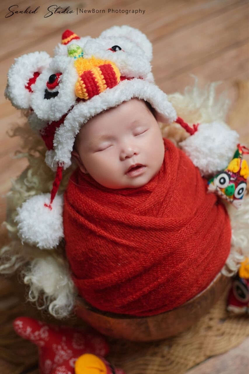 concept newborn trung thu