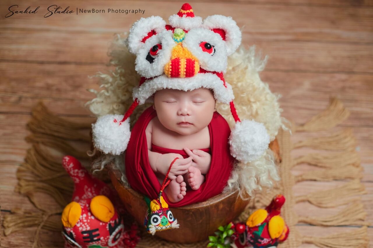 concept newborn trung thu