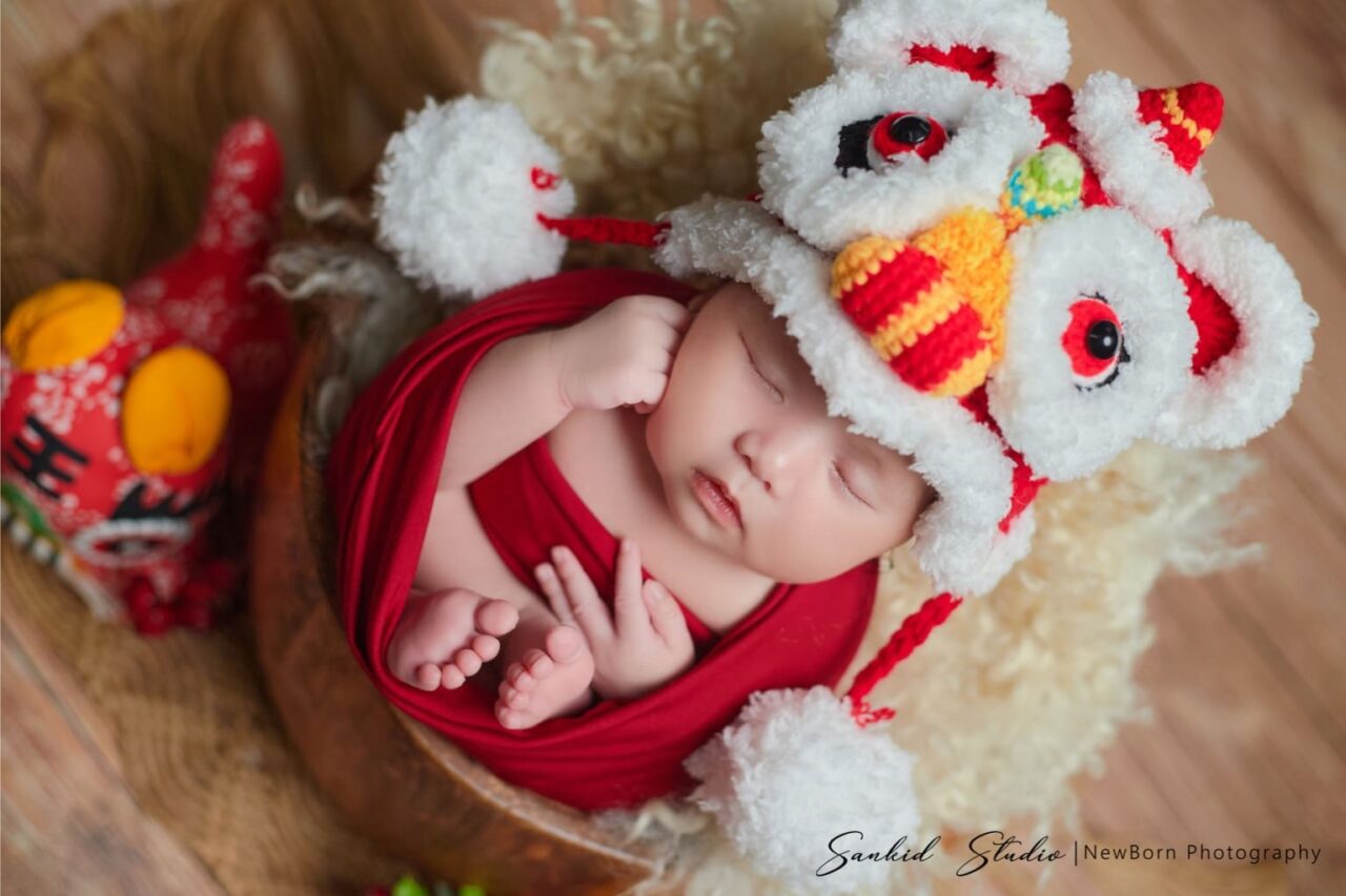 concept newborn trung thu