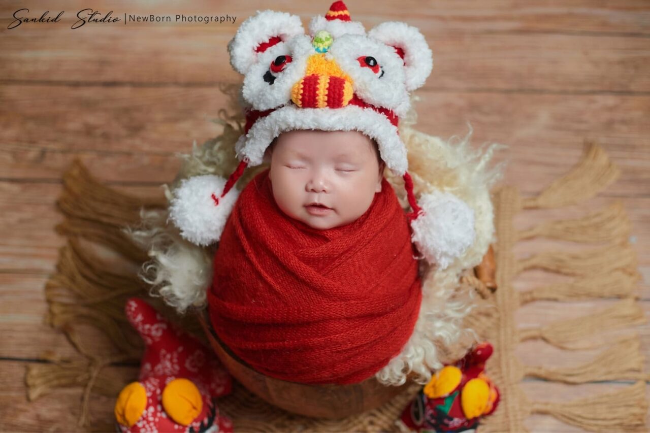 concept newborn trung thu